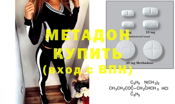 стаф Богданович