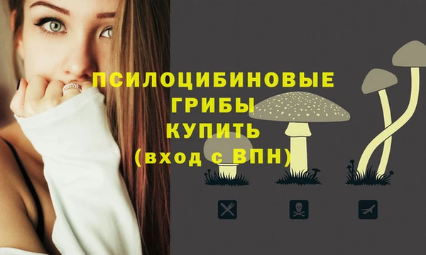 наркотики Богородск