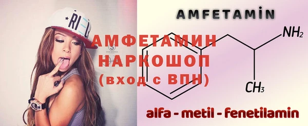 стаф Богданович