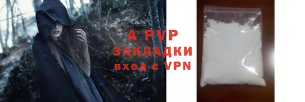 стаф Богданович