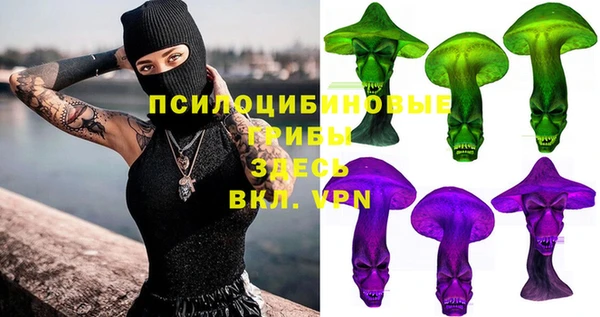 стаф Богданович