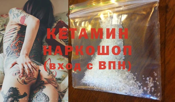 стаф Богданович