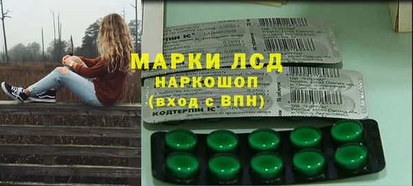 стаф Богданович