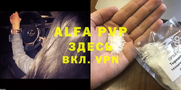 стаф Богданович