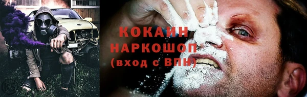 стаф Богданович