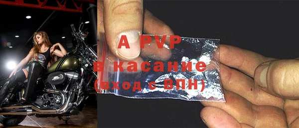 стаф Богданович