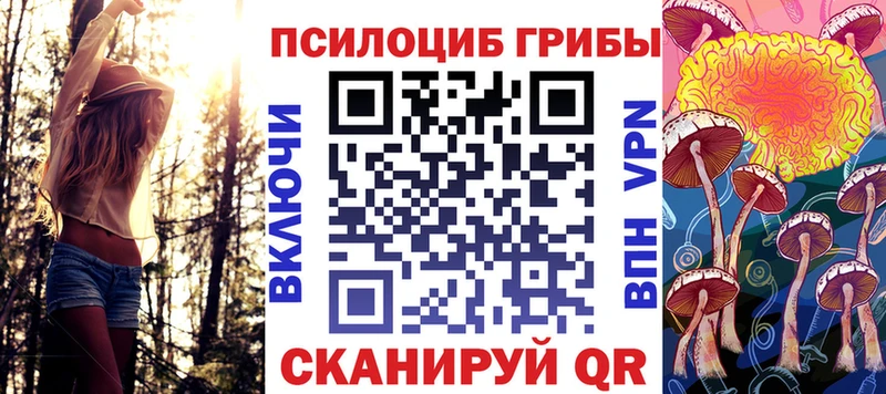 MEGA вход  цены   Мостовской  Псилоцибиновые грибы Psilocybe 