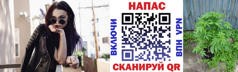 наркота  Мостовской  Марихуана Amnesia 